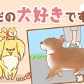 ただの犬好きです。…
