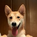 じゃじゃ～ん♡笑顔で…