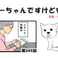 ちーちゃんですけど…