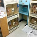 ７年半もの間『外に…