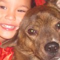 保護犬と里親家庭の…