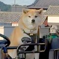乗り物が好きすぎる…