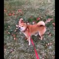 夢中でパクパク！！…