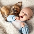 犬と一緒にいると起…