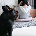 突然筋トレを始めた…