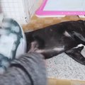 ズボラ？いえいえ、…
