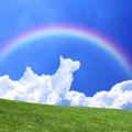 犬が死んだ後に必ず…