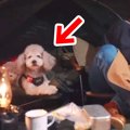 お父さんとキャンプ…