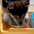 生後69日の赤ちゃん…