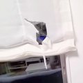 カーテンがビリビリ…