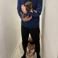 今はこれが2匹の「柴…