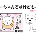 ちーちゃんですけど…