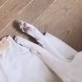 【話題】寝相も仕草…