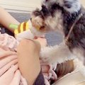 眠気の限界が来たの…