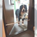 突っ張り棒で通行禁…