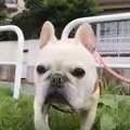 何かありました？つ…
