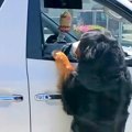車で出かけようとし…