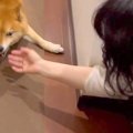 帰宅時、いつもは塩…