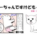 ちーちゃんですけど…