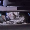 交通事故でケガをし…