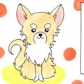 かわうそちわわ。（1…