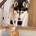急いで階段を降りよ…
