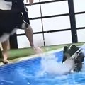 プールで泳いでいる…