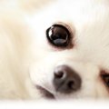放置してはいけない…