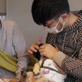 「いい歯の日」に犬…