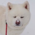 秘密の道がそこに…？…