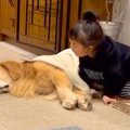 小さな女の子が、床…