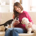 犬と猫の同居でお互…