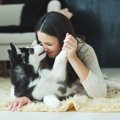 愛犬に『幸せ』を感…