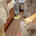 母とおばあちゃんが…