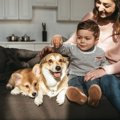 あなたの愛犬は何歳…