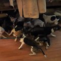 ベッドの下からわら…