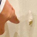 壁紙が破られていた…