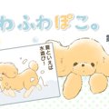 ふわふわぽこ。【第1…