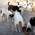 インドで街がロック…