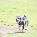 『責任感が不足して…