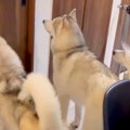 夫が『4日間の出張』…