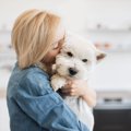 犬に対する『無意識…