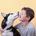 犬が『よく舐めてく…