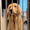 ゴミ捨てに行ってい…