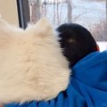 なんって羨ましい…！…