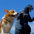四季折々の景色とベ…