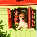 犬小屋のおしゃれ商…