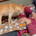 年越しの瞬間、寝て…