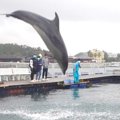 生まれて初めて『イ…