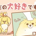 ただの犬好きです。…